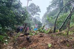 Material longsor tutupi jalan nasional, arus Padang-Painan ditutup total