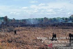Karhutla di Aceh Barat telah meluas hingga 34,1 hektare