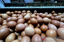 Harga pangan terbaru: telur Rp30 ribu/kg, bawang merah tembus Rp55 ribu