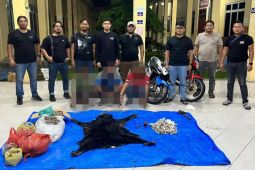 Polres Simalungun ungkap jaringan perdagangan satwa dilindungi, tiga pelaku dibekuk