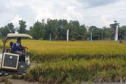 TNI programkan kembali cetak sawah rakyat di Sumsel