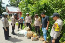 Polisi amankan 200 liter minuman keras jenis sopi di Tulehu Maluku