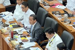 Menteri ESDM usulkan anggaran Rp815 miliar untuk kompor listrik