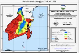 Kalsel didominasi zona merah karhutla pada Senin