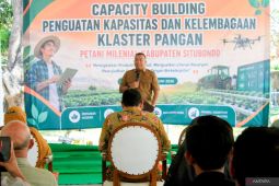 Situbondo fokus pengembangan ekonomi berbasis agrikultur