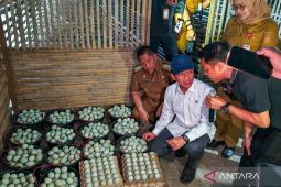 HST berdayakan 50 klaster Siti Hawa Lari dari lima kecamatan dukung KSPEAN