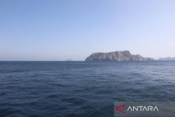 Trump perkirakan Selat Hormuz dibuka sepenuhnya pada Jumat