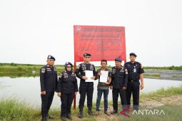 KKP hentikan sementara operasional empat tambak udang di Kalbar