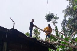 13 rumah rusak akibat cuaca ekstrem di Sumut