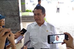 Mentan jelaskan langkah pemerintah stabilkan harga telur peternak