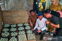 Kalsel kemarin dari  program KSPEAN hingga UMKM dan Ekraf