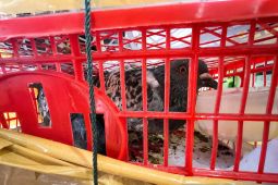 Balai Karantina Jambi tahan hewan asal Kepri tanpa dokumen di pelabuhan