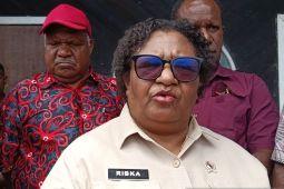 Wamendagri kecam insiden pembakaran pesawat AMA di Papua Pegunungan