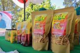 PKK Bengkayang dorong penguatan ekonomi keluarga lewat usaha produktif