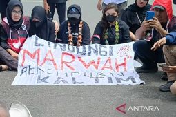 UPTD PPA Kaltim tangani 43 kasus kekerasan perempuan dan anak hingga Juni