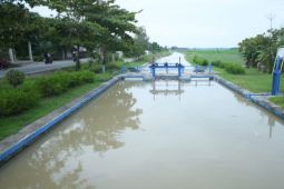 Pengamat: Inpres Irigasi kunci jaga ketahanan pangan di tengah ancaman El Nino