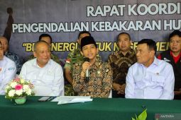 Menhut sebut ada 81.000 hektare lahan terbakar imbas cuaca panas dan El Nino