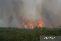 Karhutla Aceh Barat: antara bencana dan tanggung jawab merawat alam