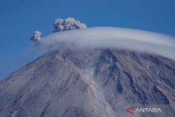 Empat pendaki ilegal Gunung Semeru diamankan