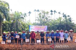 Wabup Paluta lakukan tanam perdana bawang merah untuk dukung ketahanan pangan