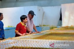 Pemkab Bogor petakan klaster perikanan dan peternakan unggulan tingkatkan produktivitas