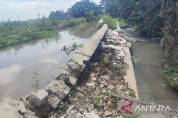 Petani di Karawang khawatirkan sulit air akibat saluran irigasi rusak