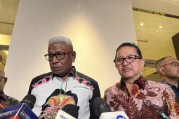 Smelter Freeport ditargetkan mulai berproduksi September 2026