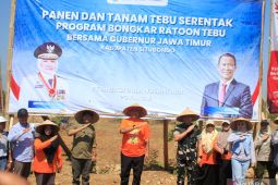 Perluasan lahan tebu Situbondo lampaui target Kementan