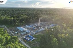Pertamina: Produksi sumur pengembangan Salawati Sorong 623 BOPD