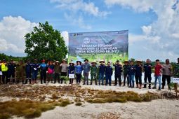 PT Timah tanam ratusan pohon di Sungai Romodong