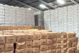 Persediaan beras di gudang Bulog Aceh capai 123.009 ton
