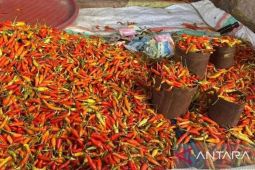 PIHPS: Harga cabai rawit Rp100.000 per kg, telur ayam Rp29.700 per kg
