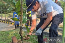 Jasamarga tanam bibit pohon mahoni hingga  tanjung wujud pelestarian lingkungan