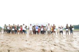 DPKP Pandeglang perkuat Brigade Pangan dukung swasembada pangan