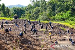 OIKN: Sudah tidak ada lagi tambang ilegal di hutan konservasi IKN