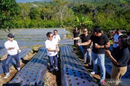 Badung maksimalkan Agro Techno Park guna tingkatkan pertanian dan perkebunan