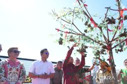 Gubernur sebut Festival Bakcang perkuat toleransi dan pariwisata Kalbar