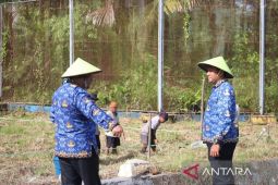Lapas Piru Maluku kembangkan budidaya ikan air tawar untuk pembinaan