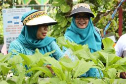 PKK Kukar tonjolkan Inovasi ketahanan pangan di lomba tingkat Kaltim