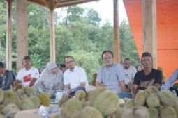 Bangka Tengah kembangkan "kelekak" durian jadi kawasan wisata budaya
