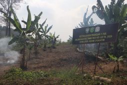 Kodam IM komit dukung ketahanan pangan di Aceh