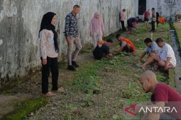 Rutan Ambon beri pembinaan kemandirian bagi WBP lewat program budidaya terong