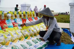 Bapanas: 7,7 juta ton CBP disalurkan ke masyarakat selama 2023-2025
