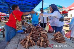 Pemkab Sorong optimalkan pemanfaatan Dana Desa