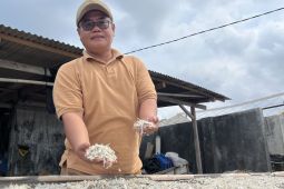 Perajin ikan asin Lampung Selatan jaga kualitas produk demi perluas pasar