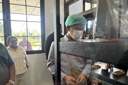 Wapres Gibran kunjungi sentra produksi kakao di Ransiki