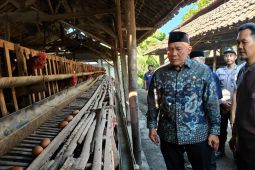 Anggota DPR RI tinjau peternak ayam petelur Sidoarjo