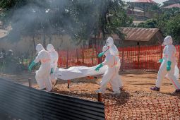 Jumlah kasus Ebola di Kongo tembus 1.000, korban tewas 254