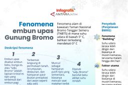 Fenomena embun upas Gunung Bromo