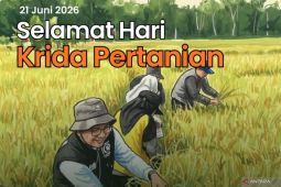 Firman Yusi apresiasi para pejuang pangan Kalsel